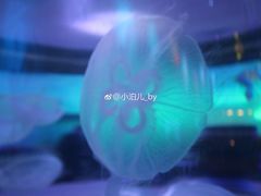-横店影视城梦幻谷园区
