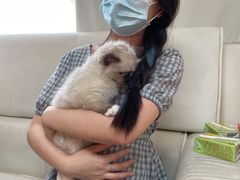 -lincat·猫舍(广州店)