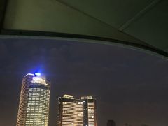 -演武大桥观景平台