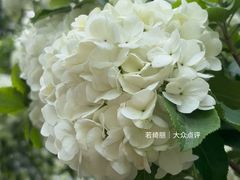 -堤角公园