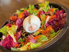 蛋蛋沙拉-Hatsune隐泉日式料理(三里屯太古里店)