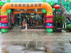 -上海大自然野生昆虫馆(东方明珠·爬宠昆虫探索中心)