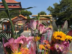 -广州莲花山旅游区