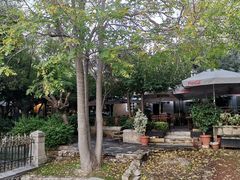 -奥林匹亚宙斯神庙