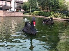 -南京圣和府邸豪华精选酒店