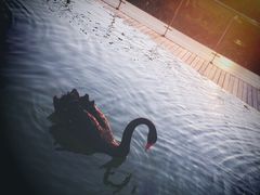 -南京圣和府邸豪华精选酒店