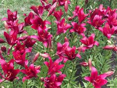 -长春公园(普阳街道)