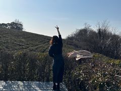 -南京市江宁方山