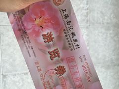 南汇桃花村-南汇桃花村