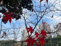 -徐家汇公园