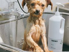 -PETKIT小佩宠物(古北店)