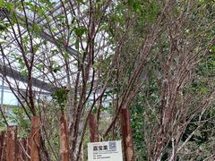 -呀路古热带植物园