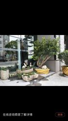 点击看大图 -今生有约(星湖101店)
