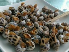 android_upload_pic-湿地轩