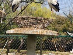 -盐城丹顶鹤湿地生态旅游区
