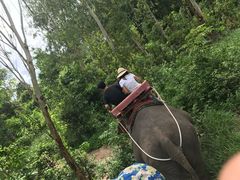 -东芭乐园