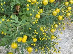 -天津盘山风景名胜区
