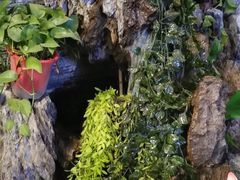 -知足堂养生会所(碑亭巷店)