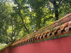 -北陵公园