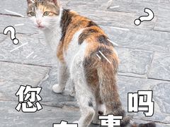 -长春观