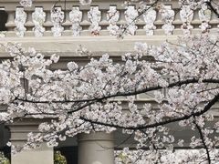 -上海瑞金洲际酒店