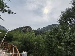 -大岭沟猕猴桃谷风景区
