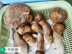 -翕庐小苑
