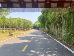 -艾溪湖湿地公园