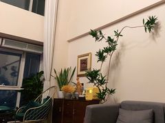 -仰生如卉推拿养生馆(酒仙桥店)