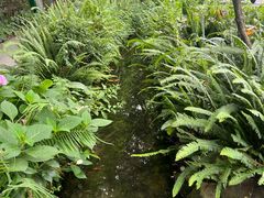 -成都市活水公园