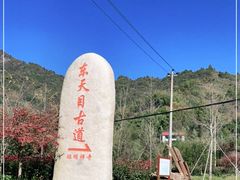 -东天目山风景区