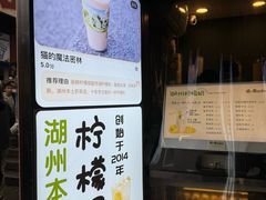 -猫的魔法密林(衣裳街店)