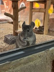 -酷嗒动物文化乐园(cutezoo西溪乐天城店)