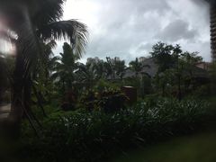 -三亚湾红树林度假世界(木棉酒店)