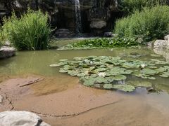 -燕郊植物园
