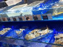 水产区-广东海鲜坊(世纪海伦店)
