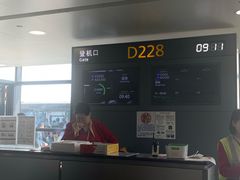 -上海浦东国际机场-T2航站楼