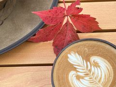 -三忘湖 SWANSEEN(柳荫公园店)