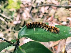 -宁波五龙潭景区