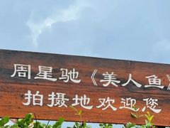 -杨梅坑