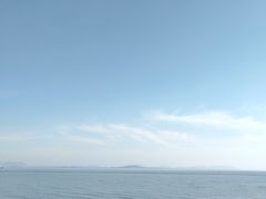 -贡湖湾湿地公园