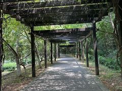 -九龙潭景区