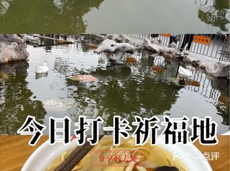 #天天领红包#龙华素斋 本命年少不了要去拜拜再求个护