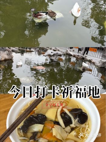 #天天领红包#龙华素斋 本命年少不了要去拜拜再求个护
