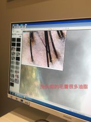 -可貌丽姿·增发养发