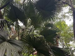 -房湖公园