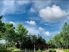 -鉴湖国家城市湿地公园