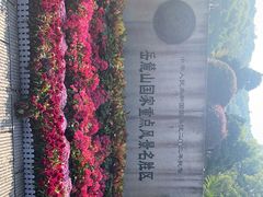 -岳麓山风景名胜区