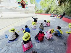 -杨梅红艺术教育(北京金源购物中心校区)