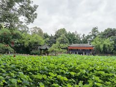 -房湖公园